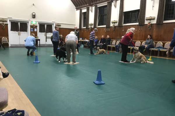 Puppy training class