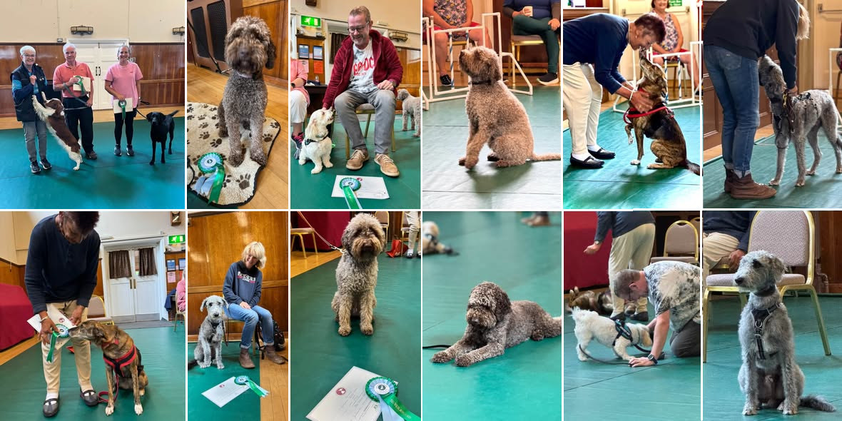 Puppy test completed