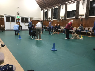 Dog training facilities Grayshott