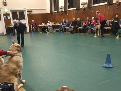 Dog training facilities Grayshott